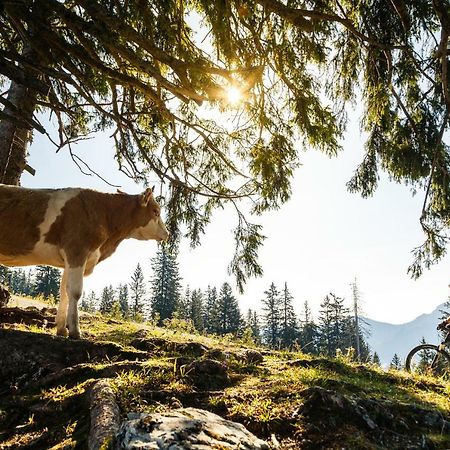 Ferienwohnung Schifterhof Ruhpolding Eksteriør billede