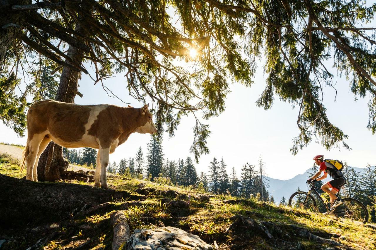 Ferienwohnung Schifterhof Ruhpolding Eksteriør billede